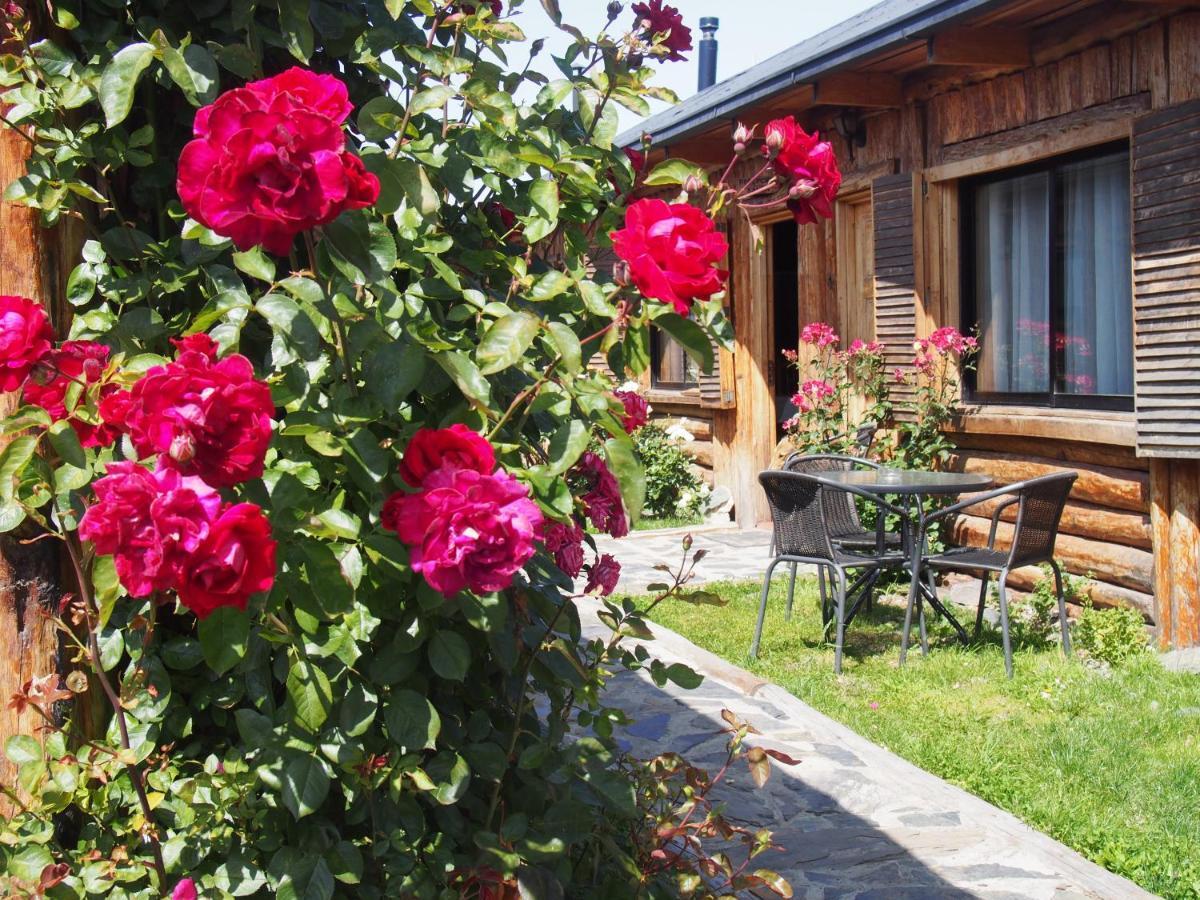 Hotel Ultimo Paraiso Кокране Екстериор снимка
